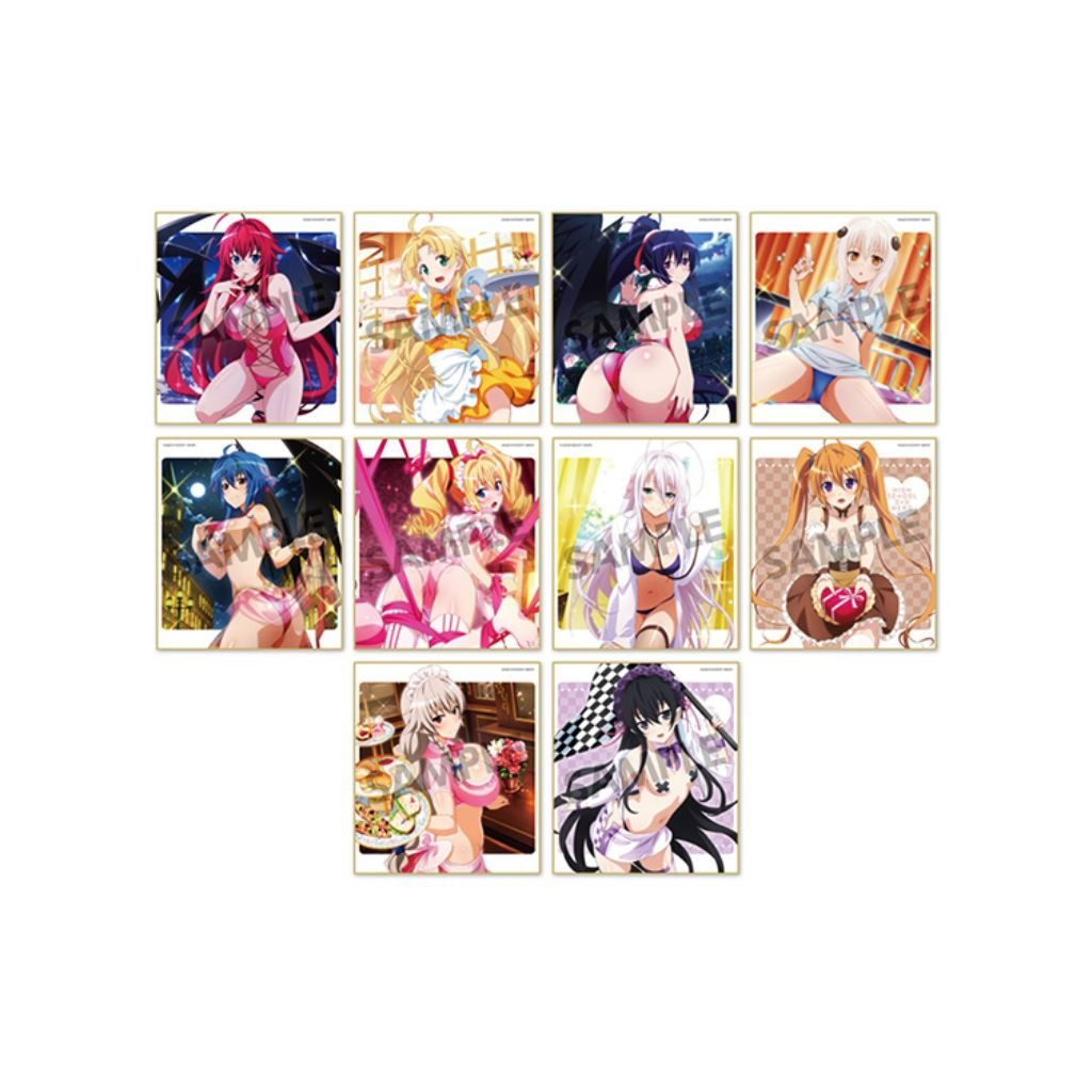 High School DxD Hero Trading Mini Shikishi Vol 3 (2 packs) - Rapp Collect