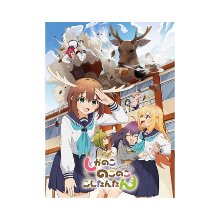 ReBirth For You Animation My Deer Friend Nokotan Trial Deck - Rapp Collect