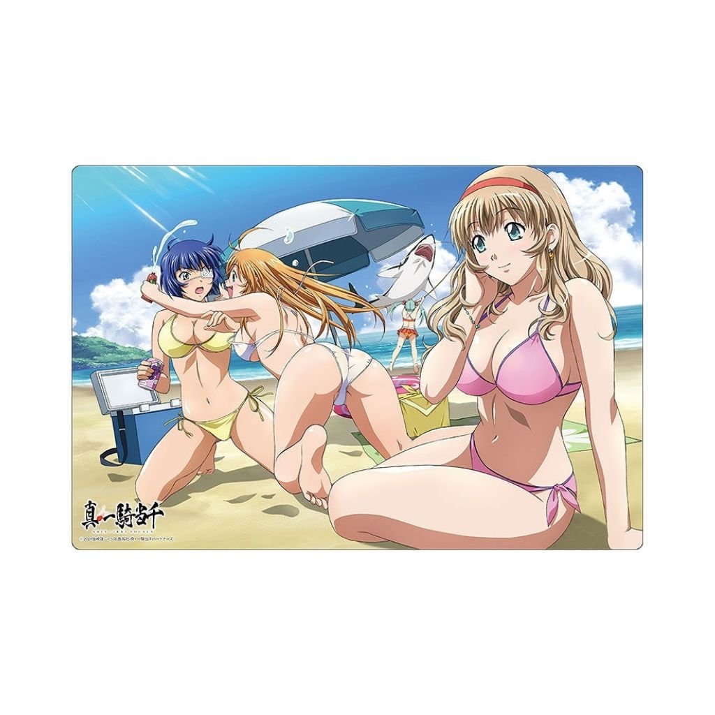 Bushiroad Rubber Mat Collection Ikki Tousen Vol 560 - Rapp Collect