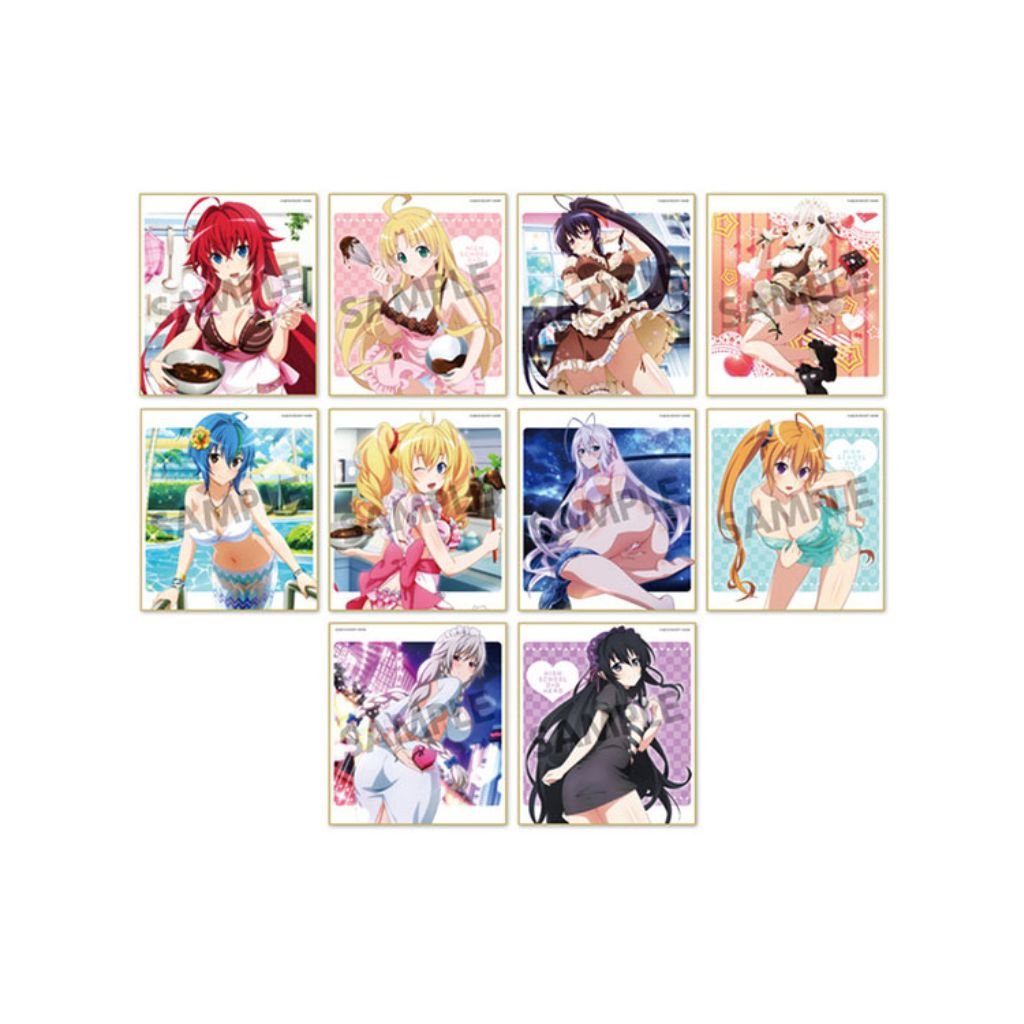 High School DxD Hero Trading Mini Shikishi Vol 1 (2 packs) - Rapp Collect