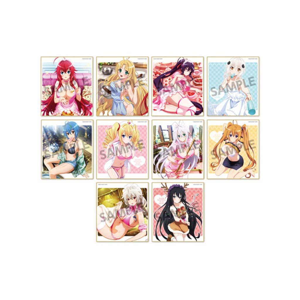 High School DxD Hero Trading Mini Shikishi Vol 2 (2 packs) - Rapp Collect